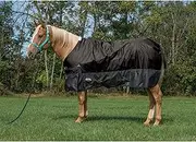 Weaver Leather Economy Turnout Horse Blanket - Waterproof Ripstop- Polyester Fiber Fill, 600D, Black, 72"
