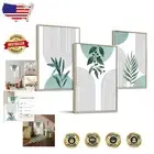 Vibrant Sage Green Framed Wall Art - Set of 3 Bohemian Botanical Prints