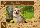 Welsh Corgi w Paws Engraved Wood Picture Frame Magnet