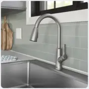 Elkay Everyday Single Hole Kitchen Faucet with Pull-Down Spray Lustrous Steel