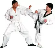 Tae Kwon Do V-Neck Uniform Gi with White Belt