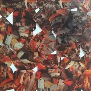 Sequin Square Diamond 1.5" Orange Silver Bird Feathers Print Metallic