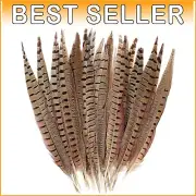 Elegant 14-16 Inch Natural Pheasant Feathers - Perfect for Crafts & Events