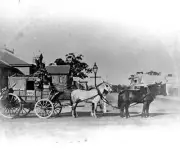 New South Wales 1895 - A Cobb and Company stagecoach in a country - Old Photo