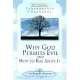 Why God Permits Evil and How to Rise Above It