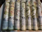 York Pre Pasted Wallpaper BORDER VICTORIAN 7 Rolls FLORAL BOTANICAL LADY BUGS