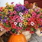 Artificial Flowers for Outdoor, 20 Bundle UV Resistant Fake Silk Flowers, Realis