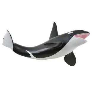 COLLECTA動物模型 - 虎鯨