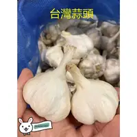 在飛比找蝦皮購物優惠-🌈嚴選🌈2023台灣蒜頭 雲林 進口蒜頭 伸港 中大蒜球 南