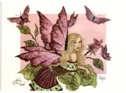 AMY BROWN NEW & MINT FAIRY POSTCARD/MINI ART PRINT ROSE Faerie & BUTTERFLIES