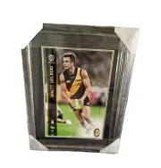 Richmond FC - Brett Deledio signed Official AFLPA 12"x18" L/Ed Print framed