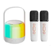 RGB LED Light Bluetooth 5.3 PA Speaker Dual Microphones KTV System 3D4906