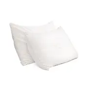 Giselle Bedding Memory Foam Pillow Bamboo Cover Tw