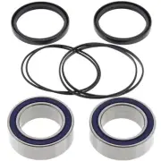 Cannondale Cannibal 440, 2002-2003, Rear Wheel Bearing and Seals