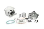 MALOSSI ALUMINIUM CYLINDER KIT 50CC PIN DIAM.10 H2O MHR FOR F12-PHANTOM 50 2T LC