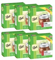 Regular Mouth Lids for Glass Mason Jars, Used for Canning, Pickling, Juice, J...