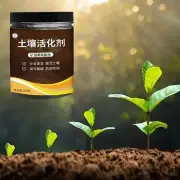 Organic Soil Amendments For Raised Garden Beds,Potting Mix,Lawn and 1/2pc D5R9