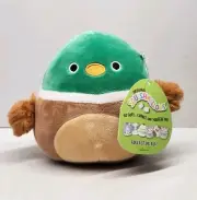 Squishmallow 5" Avery The Mallard Duck Plush ~ GOOD USED CONDITION