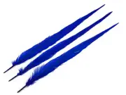 10 Pieces - 18-22" Midnight Blue Bleached and Dyed Long Ringneck Pheasant Tail