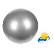 Yoga Ball Exercise Fitball Gymnastic Finess Pilates Stability Ball w/ Air Pump
