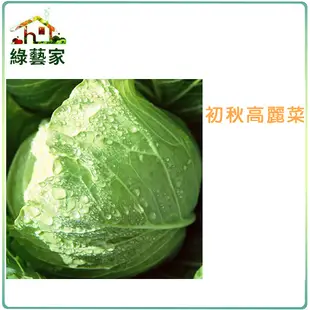【綠藝家】B01.初秋高麗菜種子(梨山品種)0.45(約70顆)