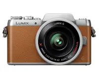 在飛比找Yahoo!奇摩拍賣優惠-國際 Panasonic GF8X 棕色〔含 X14-42m