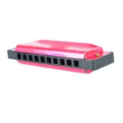 Harmonica 10 Hole 20 Tune C Key Standard Mouth Organ With Case For Kid Beginn US