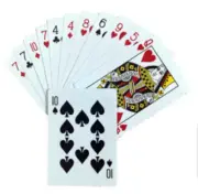 MAGIC TRICK & ILLUSION : MASTER MIND CARDS ( JUMBO SIZED CARDS )