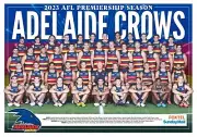 2023 ADELAIDE CROWS TEAM POSTER,BIG 420mmx300mm, AFL FOOTBALL,CHEAPEST 1