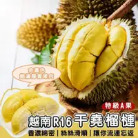 在飛比找momo購物網優惠-【WANG 蔬果】越南榴槤10kgx1箱(約3-4顆_原裝箱