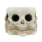 Resin Skull Head Flower Succulents Planter Pots Small Container for Garden