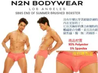 在飛比找Yahoo!奇摩拍賣優惠-【免運 減價中】N2N_SB85_Summer Brushe