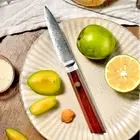 Paring Peel Knife Kitchen Chef Slicing Meat 67 Layers Damascus Steel Wood Handle