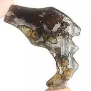 54CT Seymchan pallasite Meteorite SLICE From Russia TA752