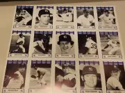 new york yankees wiz cards players of the 70s card sheet 1 SHEET goose gossage