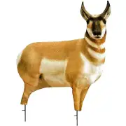 Antelope Buck DECOY