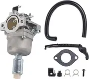 DYUZUEMGTK Garden Lawn Mower Carburetor Carb Replacement Fit for Nikki 697203 Fit for Straton 795873