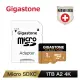 GIGASTONE MicroSDXC UHS - I U3 A2 4K 1TB記憶卡(五年資料救援)
