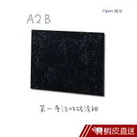 在飛比找蝦皮商城優惠-Opure臻淨 A2-B 第一層活性碳濾網 適用A2/A3/