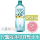 台鹽海洋鹼性離子水(850mlx20瓶)*2箱