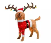32” Tinsel Dog Goldendoodle with Antlers Light Up Yard Art Fuzzy Christmas Decor