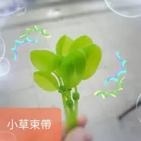 在飛比找蝦皮購物優惠-桃園【現貨】小草束帶線材束帶綠能小葉子束帶紓壓裝飾電動機車G