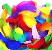 300Pcs Colorful Feathers for Crafts Coloured Feathers Dream Catchers Wedding Party Decorations