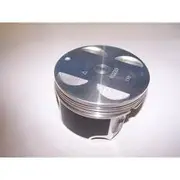 Austral Piston Set - PO209 STD