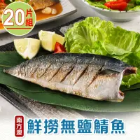 在飛比找momo購物網優惠-【享吃海鮮】南方澳鮮撈無鹽鯖魚 20片組(2片裝/110-1