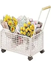 Rolling Storage Basket Carry on Organizer with Wheels Wheeled Flower Basket Utility Cart for Dolls Toys Camping Nursery,B,28 * 28 * 43cm