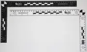 Fractional Bureau Scale for measuring and forensic photography designed in th...