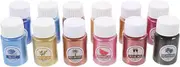 JEWEDECO 12 Bottles Pearlescent Mica Powder Pigment Drawing Powder Diy Art Epoxy Paint