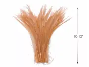 50 Pieces -Champagne Bleached & Dyed Peacock Swords Cut Wholesale Feathers Craft