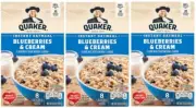 Quaker Blueberries & Cream Instant Oatmeal 8ct (3 Boxes) Hot Breakfast Cereal